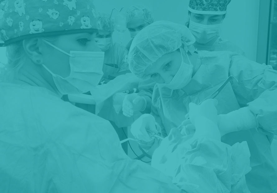 Szkolenie - O szkoleniu - Szkolenie obejmuje